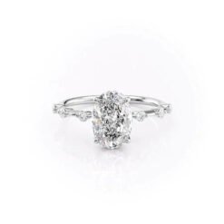 The Hidden Halo Penelope Set With A 1.0 Carat