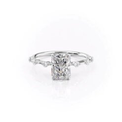 The Hidden Halo Penelope Set With A 1.0 Carat